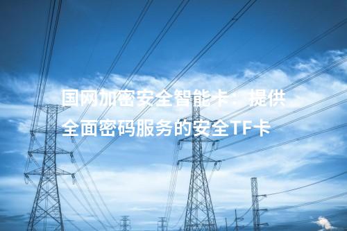 國(guó)網(wǎng)加密安全智能卡：提供全面密碼服務(wù)的安全TF卡