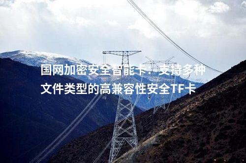 國(guó)網(wǎng)加密安全智能卡：支持多種文件類型的高兼容性安全TF卡