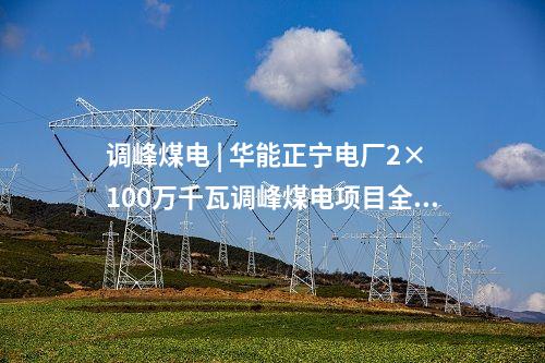 垃圾發(fā)電項目 | 700噸/日！百色市生活垃圾焚燒發(fā)電項目環(huán)評報批前公示