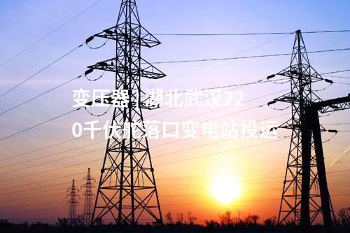 輸變電工程 | 四川電網(wǎng)兩項迎峰度夏重點工程投運