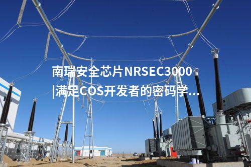 <a href=http://242vz.cn/info/23.html target=_blank class=infotextkey>南瑞安全芯片NRSEC3000</a>|代碼保護全方位