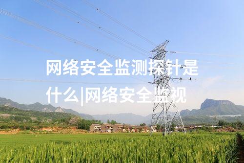 網(wǎng)絡(luò)安全監(jiān)測(cè)探針軟件|全面貫通